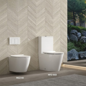 AQUENZA Two Piece Toilet FLORENCE
