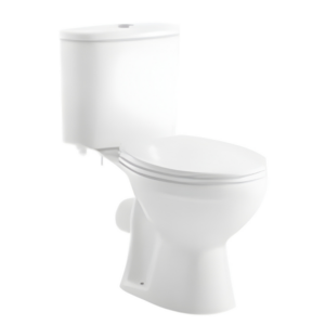 AQUENZA Two Piece Toilet MFZ-06C_D(SP)