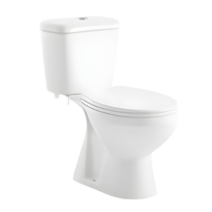 AQUENZA Two Piece Toilet MFZ-06RC
