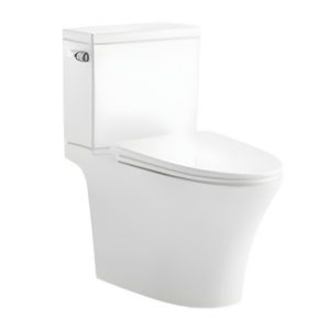 AQUENZA Two Piece Toilet MFZ-2103A