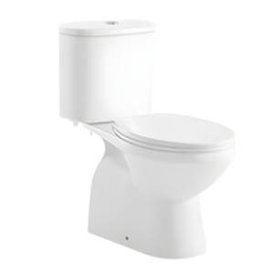 AQUENZA Two Piece Toilet MFZ-29C_D