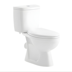 AQUENZA Two Piece Toilet MFZ-33D