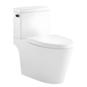 AQUENZA Two Piece Toilet MFZ(Y)-2105A