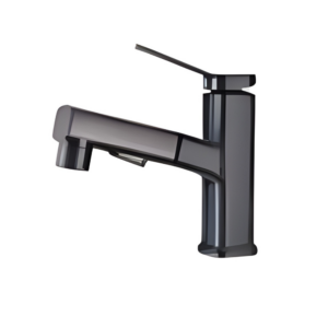 AQUENZA Pull-Out Faucet