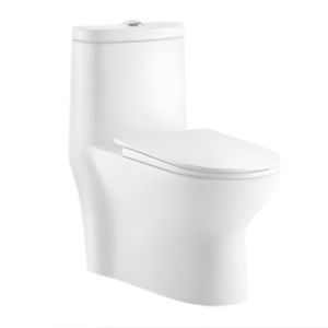 AQUENZA One Piece Toilet MLZ-19A_B