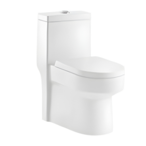 AQUENZA One Piece Toilet MLZ-25A_B