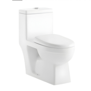 AQUENZA One Piece Toilet MLZ-28C