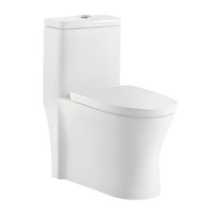 AQUENZA One Piece Toilet MLZ-36A_B