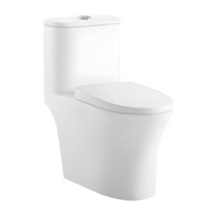 AQUENZA One Piece Toilet MLZ-66A_B
