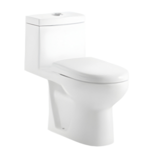 AQUENZA One Piece Toilet MLZ-68C