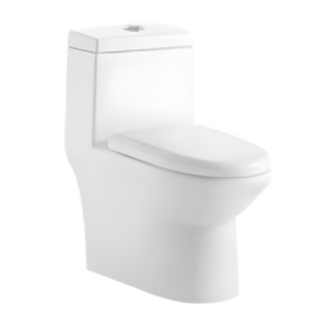 AQUENZA One Piece Toilet MLZ-69C