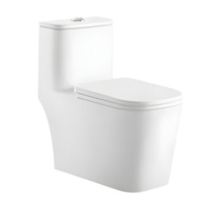 AQUENZA One Piece Toilet MLZ-72A_B
