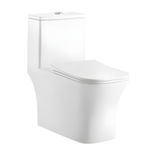 AQUENZA One Piece Toilet MLZ-73A_B