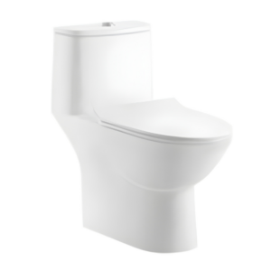 AQUENZA One Piece Toilet MLZ-75A_B