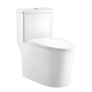 AQUENZA One Piece Toilet MLZ(Y)-1101A_B