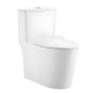 AQUENZA One Piece Toilet MLZ(Y)-1103A_B
