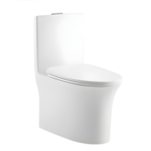 AQUENZA One Piece Toilet MLZ(Y)-1107A_B