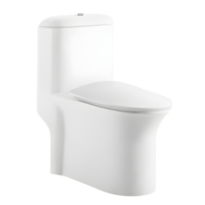 AQUENZA One Piece Toilet MLZ(Y)-1108A_B
