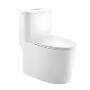 AQUENZA One Piece Toilet MLZ(Y)-1110A_B