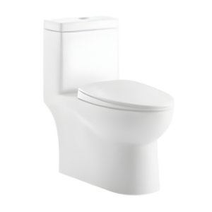 AQUENZA One Piece Toilet MLZ(Y)-1117A_B