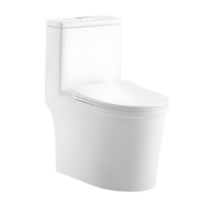 AQUENZA One Piece Toilet MLZ(Y)-1143A_B