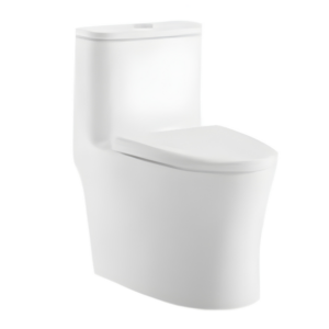 AQUENZA One Piece Toilet MLZ(Y)-78A_B