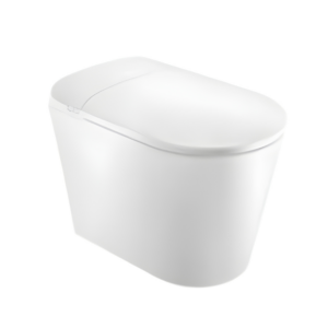 AQUENZA Intelligent Toilet MZZ-510A/B