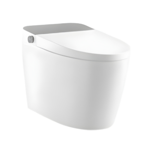 AQUENZA Intelligent Toilet MZZ-862A/B