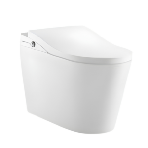 AQUENZA Intelligent Toilet MZZ-K1