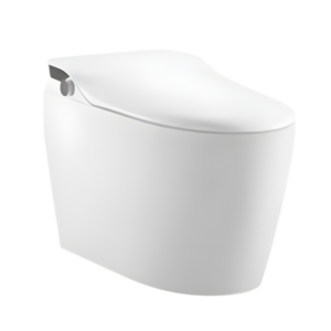 AQUENZA Intelligent Toilet MZZ-V1