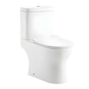 AQUENZA Two Piece Toilet MFZ-13C_D