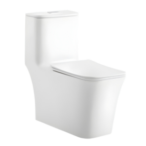 AQUENZA One Piece Toilet MLZ(Y)-1109A_B_C_D