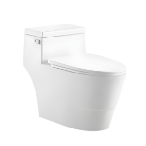 AQUENZA One Piece Toilet MLZ(Y)-1131A